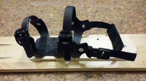 Файл:Baikal 2019 (9).jpg