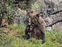 Почешите кто-нибудь, а то сам не достаю :)