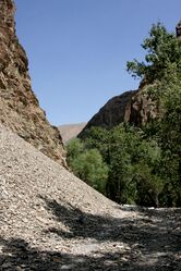Фото 3. Дорога вдоль р.Бешкёль несколько выше ее впадения в р.Урмарал.