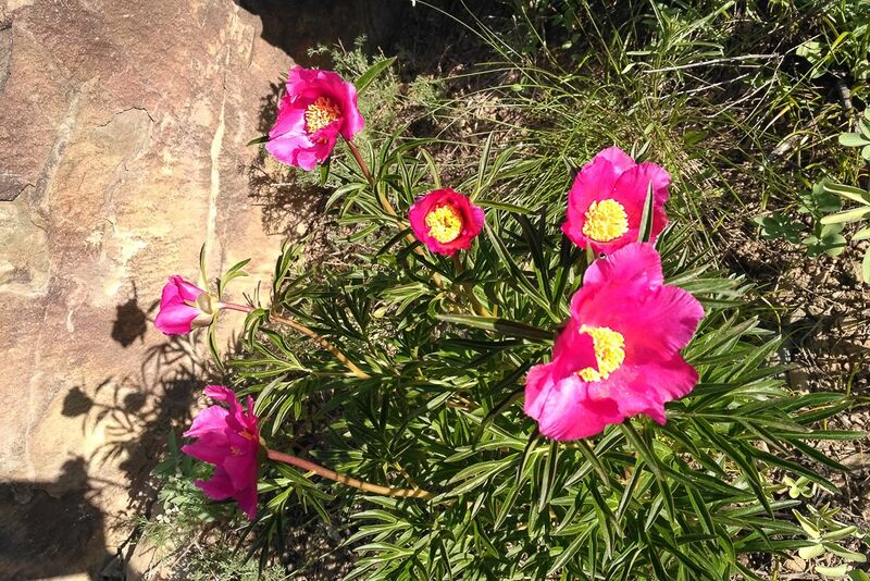 Файл:VKO 2017 045.jpg