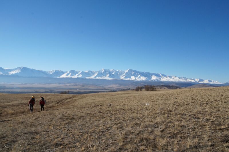 Файл:Kuray 2014 0002.jpg