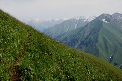 Фото 29. Верхняя тропа вдоль р.Кара-Кульджа.