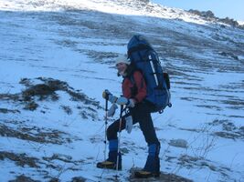 Ходят деуки