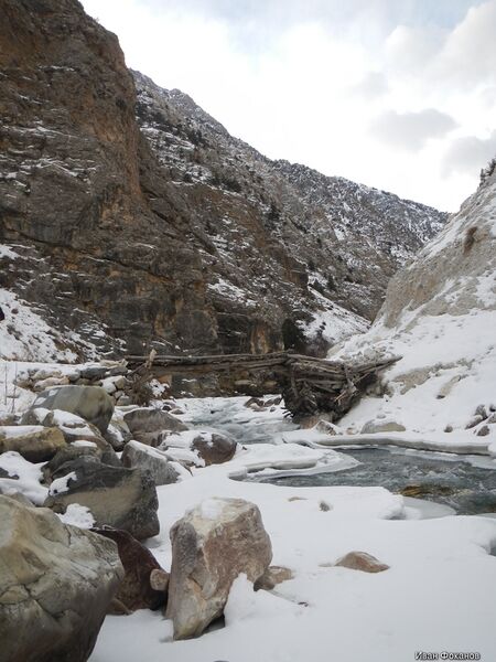 Файл:N Mem ИФ DSCN3157.JPG