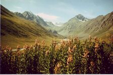 15 августа. Верховья реки Кора с озером при подъеме на перевал Жальгирис. Справа фрагмент Басканского отрога.