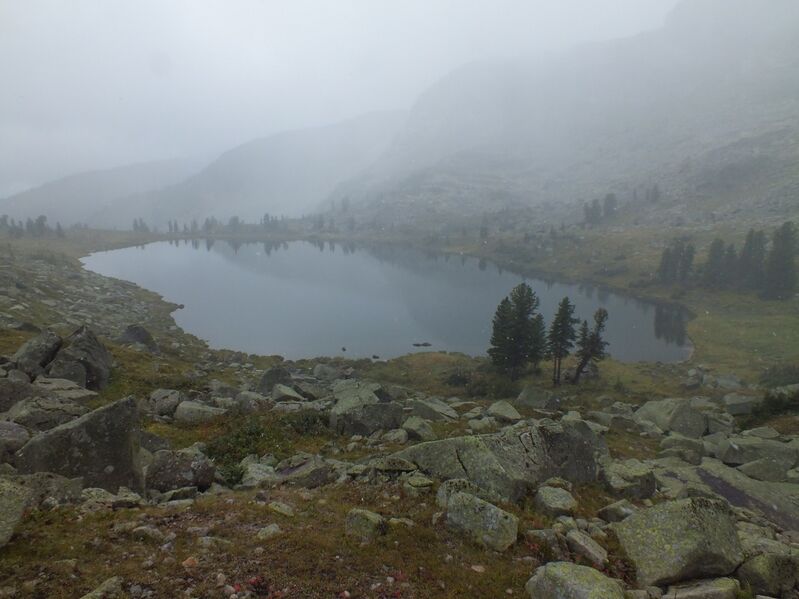 Файл:Ergaki 2014 fig12.jpg