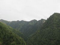 Склоны хребта. Ущелье реки Кок-Су.