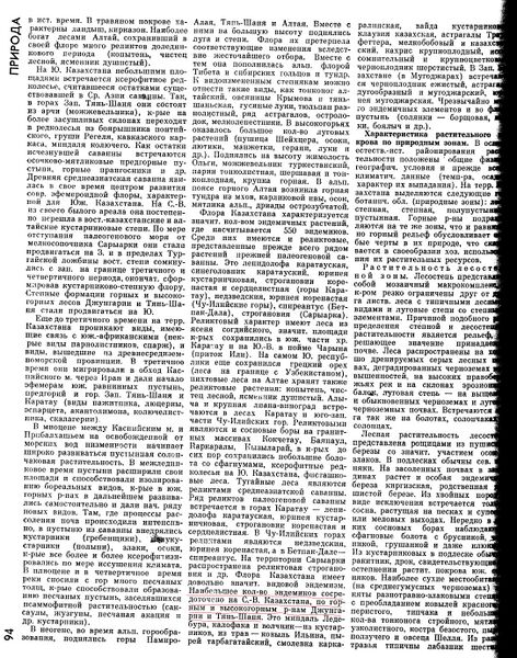 Файл:Djungaria priroda nature.jpg