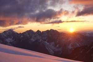 Супер виды 1