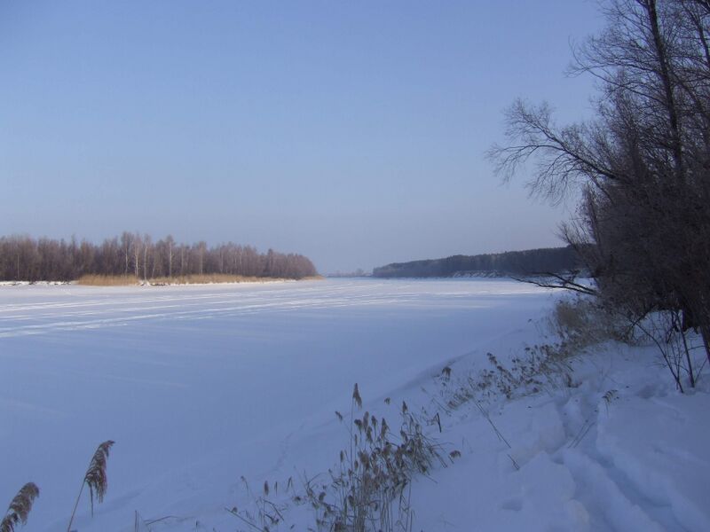 Файл:Zabeg2009 7.JPG