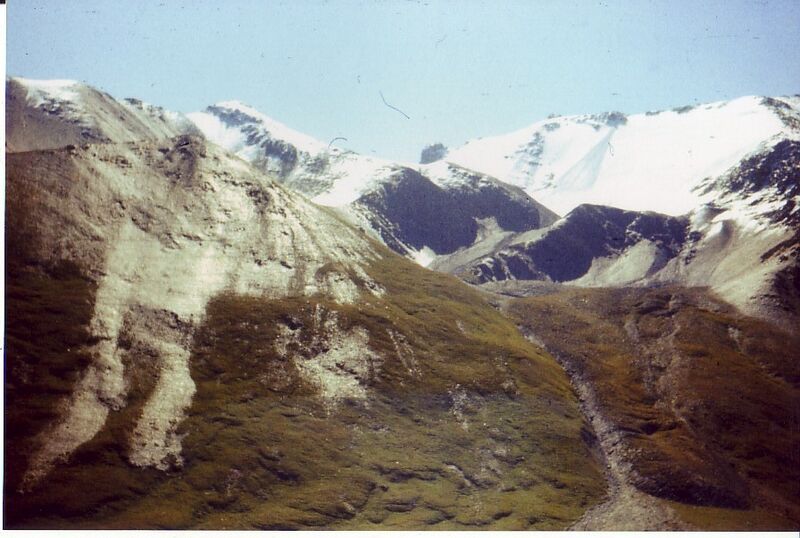 Файл:Djungaria Vytautas Oskinis 3.jpg