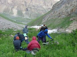 Рис. 4.14. Поляна перед моренным валом Дустироза. Фото вниз по течению Дустироза. Володя определяет направление дальнейшего движения.