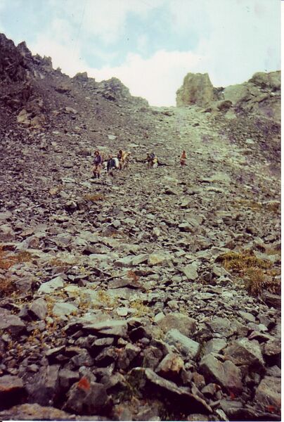 Файл:Djungaria Vytautas Oskinis 7.jpg