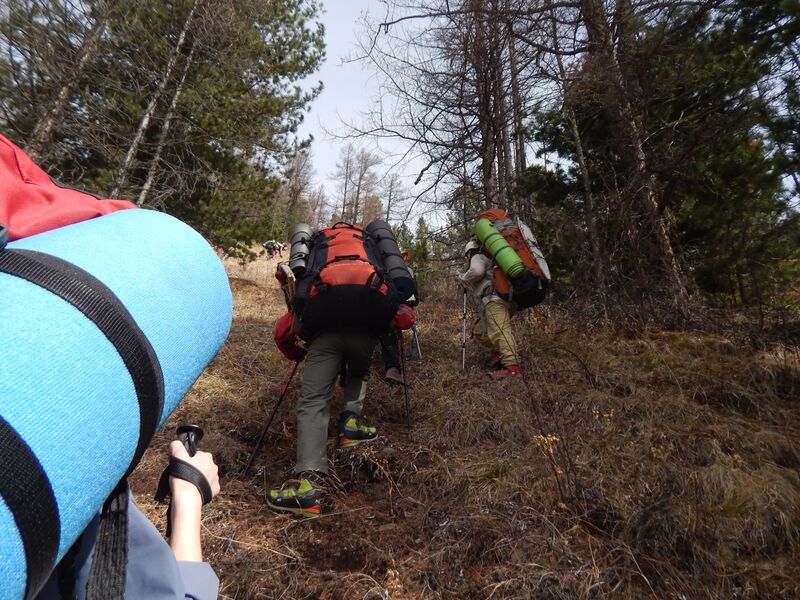 Файл:Вверх по склону.jpg