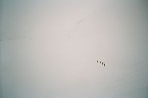 Бежим домой. Точнее хотим домой, а куда бежать - не понятно.