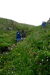 Фото 27. Спуск по травянистым склонам и руслу ручья после пер.Бешкёль.
