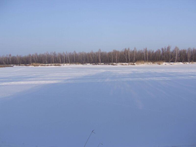 Файл:Zabeg2009 5.JPG