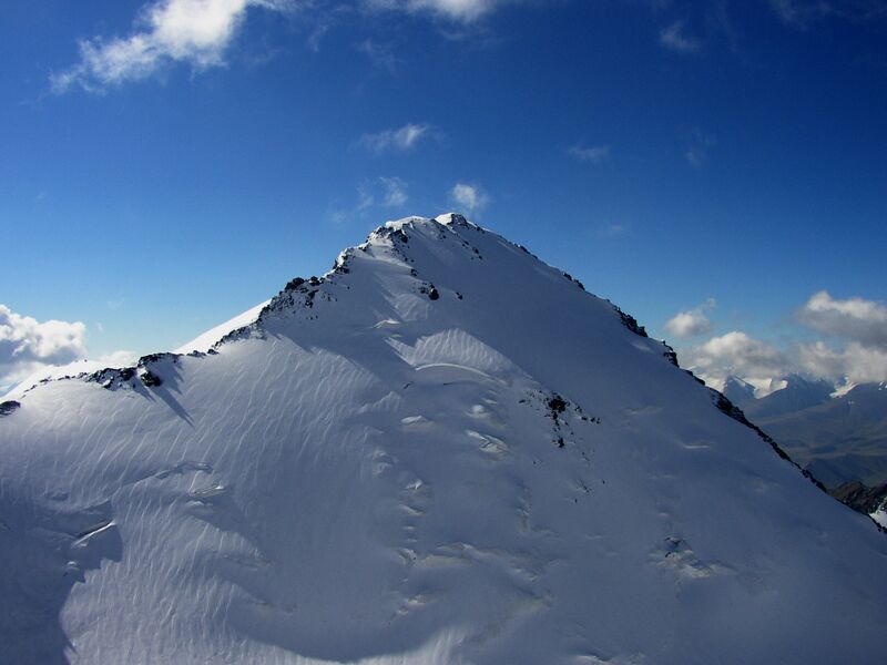 Файл:Djungaria2005 summer NGU 6.jpg