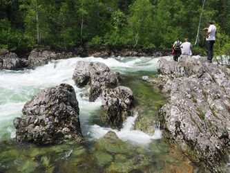 Порог Молоко