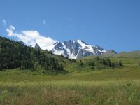 Вид на Южный Джунгарский Хребет