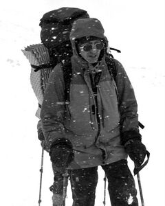 Сергей Науменко, 1954-2019