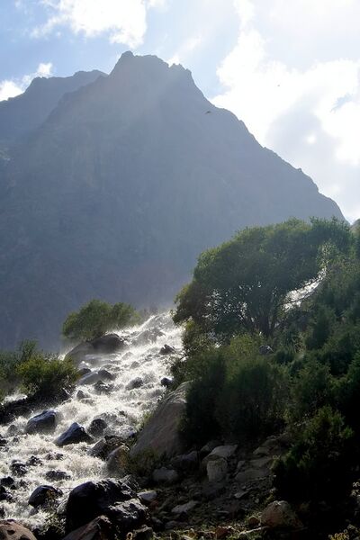 Файл:Matcha 2006 0028.jpg