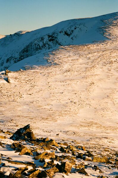 Файл:Katun2004 14.JPG