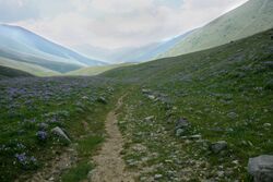 Фото 79. Дорога по долине ручья Кара-Кульджа (истока р.Чаткал).