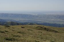 Панорама Лепсинска - фото с Южного Плато (напоминающего плато Укок)