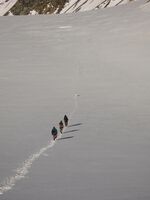 Ак-собак тропит