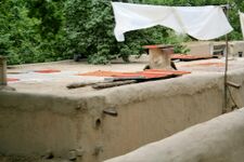 На крыше сушатся абрикосы (курага или урюк:)