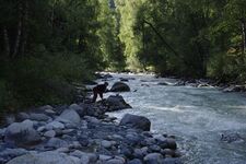 "Я увлекаюся спортивною рыбалкой. Ловлю я рыбу даже в дождь, жару и снег. И не отвадишь от рыбалки даже палкой. Люблю рыбалку как спортсмен, как человек."