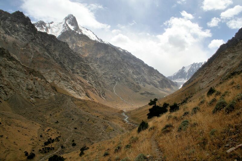 Файл:Matcha 2006 0121.jpg