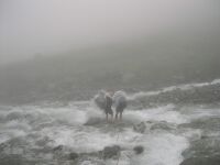 Переправа через р. Лев. Сыгыкта