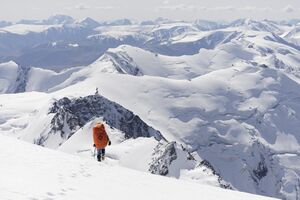 Супер виды 2