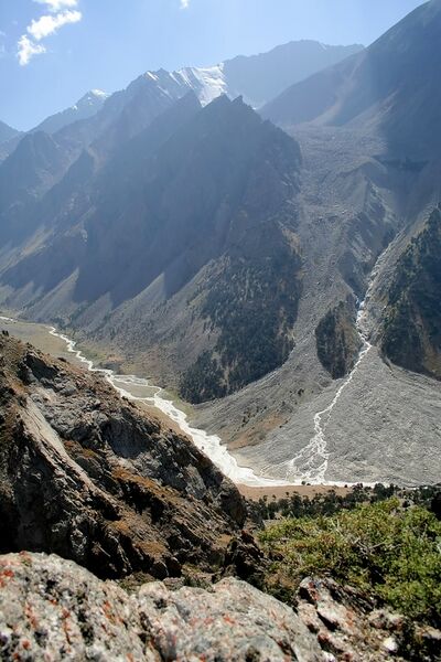 Файл:Matcha 2006 0047.jpg