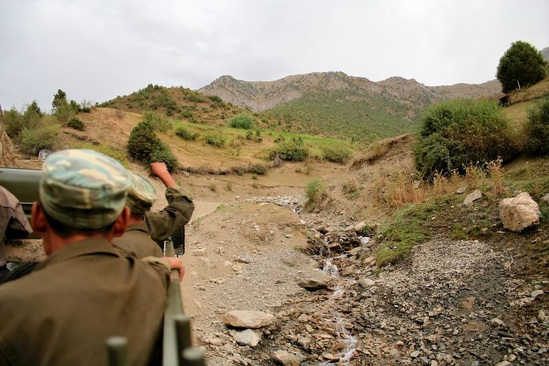 Файл:Matcha 2006 0113.jpg