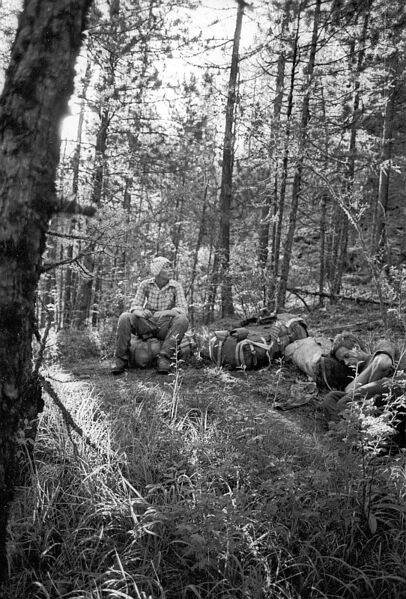 Файл:Peйlakova Natalья.jpg