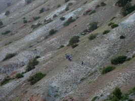 Всё, - новосибирский табор ушел в отрыв. Но без расставаний не бывает встреч. Вот залижу рану и мы вместе ещё побегаем...