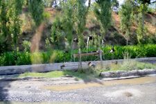 Чигирь — водоподъемное устройство в виде колеса с ковшами.