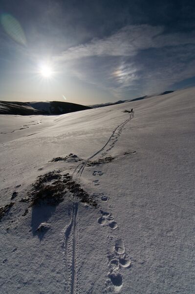 Файл:Velo2009Veretnov 31.jpg