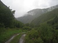 Дорога вдоль берега Кок-Су