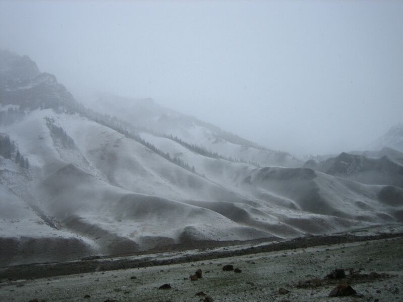 Файл:Velo2009Veretnov 18.jpg