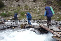 Фото 90. Мостик через главный рукав р.Чиимташ Зап. и переход вброд через второстепенный рукав.