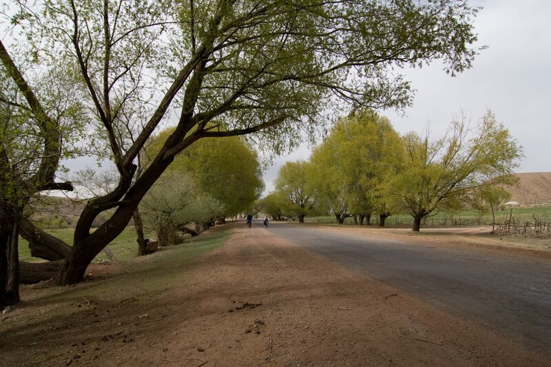 Файл:Velo2009Veretnov 11.jpg