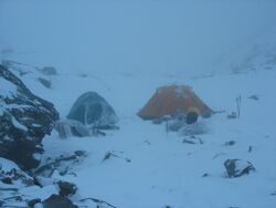 А здесь сладко спят(хорошо покушав)